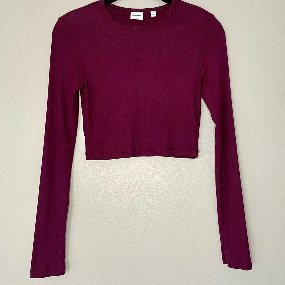 Sunday Best Aritzia Burgundy Long Sleeve Ribbed Crop Top